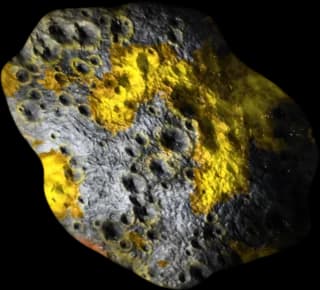A Organic asteroid