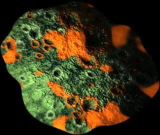 Asteroid Volatil